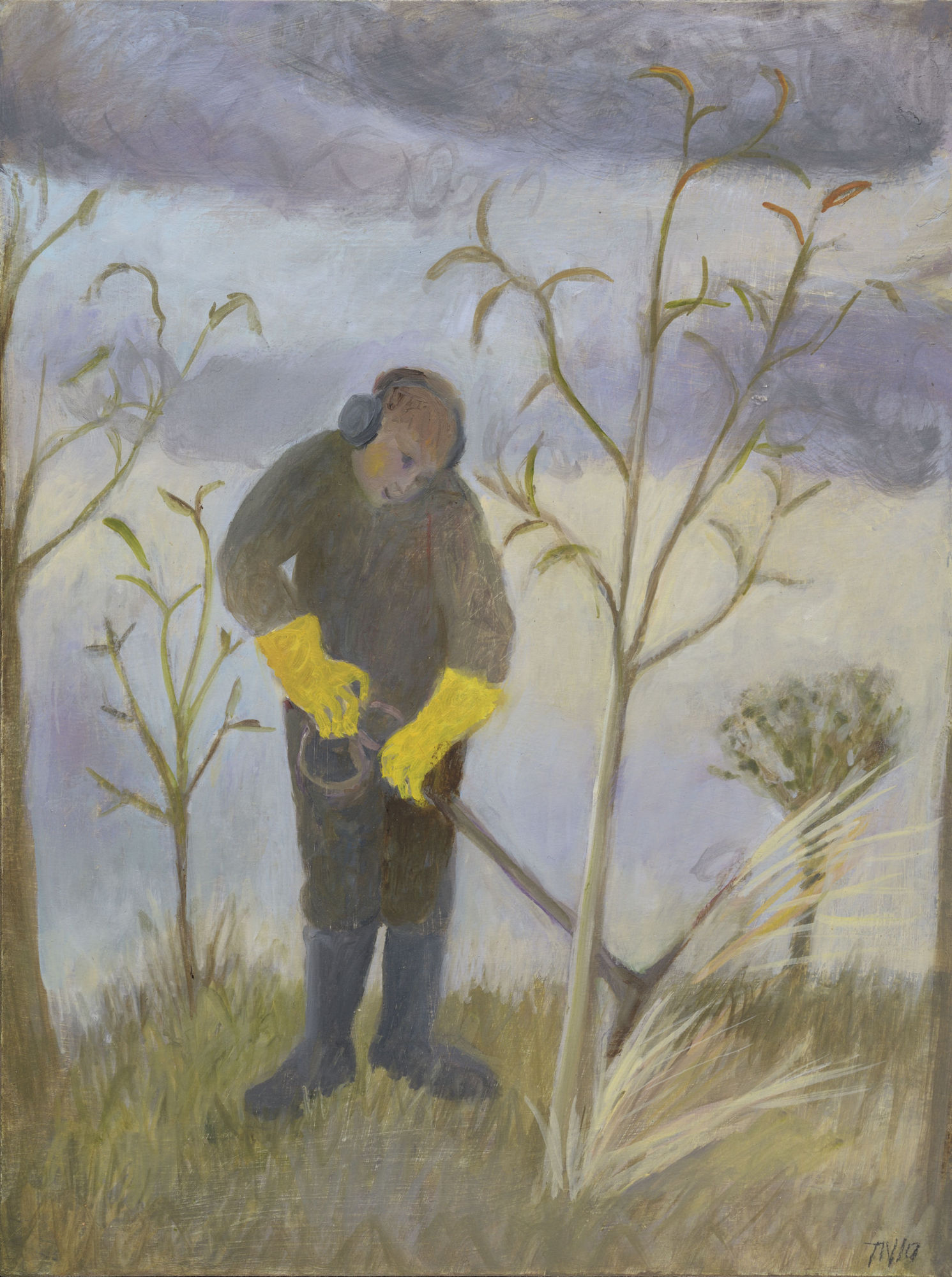 The Gentle Strimmer