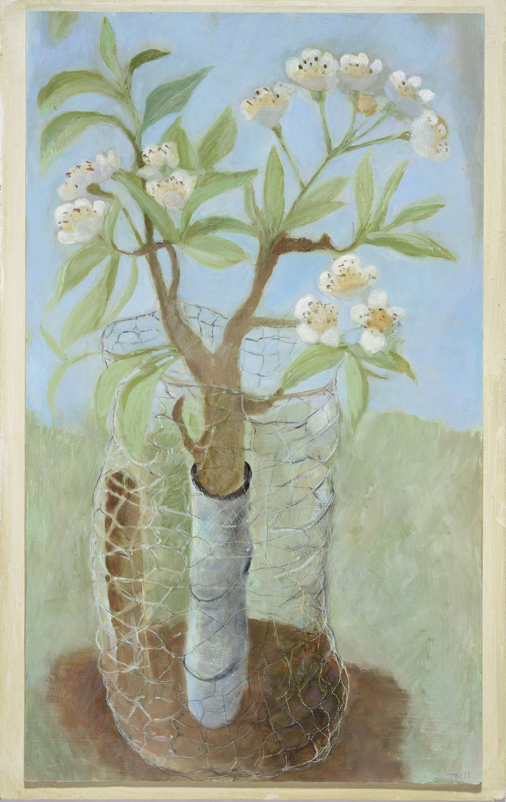 A Young Orchard Tree