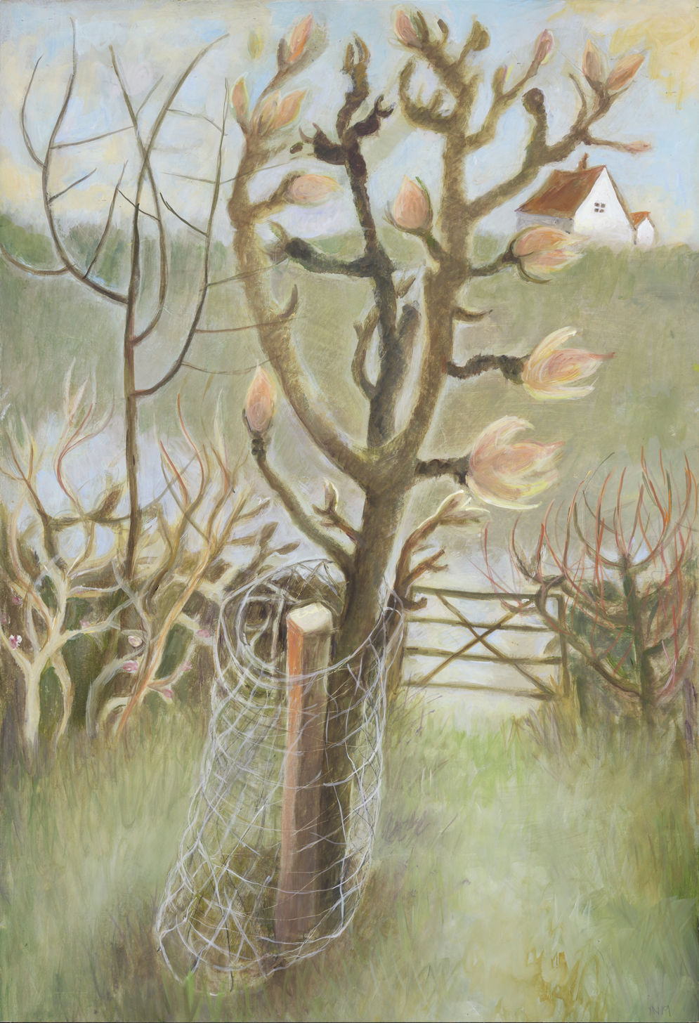 A Young Pear Tree