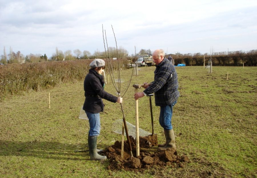 Planting Day - 15 March 2010 - the first day available for planting after the winter freeze. The orchard planting grid had been done in advance - some of the marking stakes can be seen