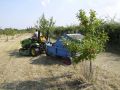 St. James Village Orchard album image 108