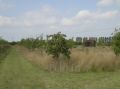 St. James Village Orchard album image 116