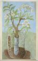St. James Village Orchard album image 207