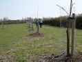 St. James Village Orchard album image 33