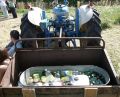 St. James Village Orchard album image 38