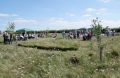 St. James Village Orchard album image 43