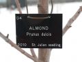 St. James Village Orchard album image 87