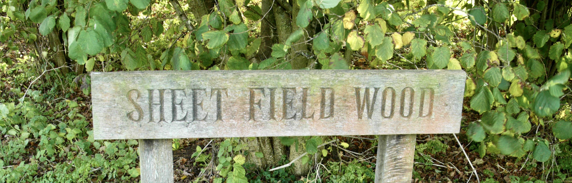 Sheet Field Wood Sign