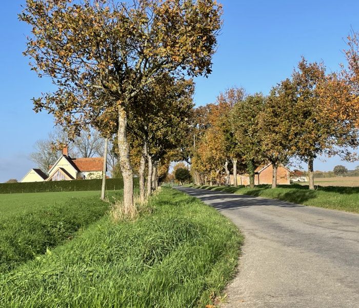 Header Orchard Image farm road trees