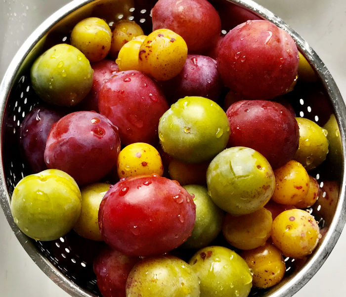 Header Orchard Image fruit bowl
