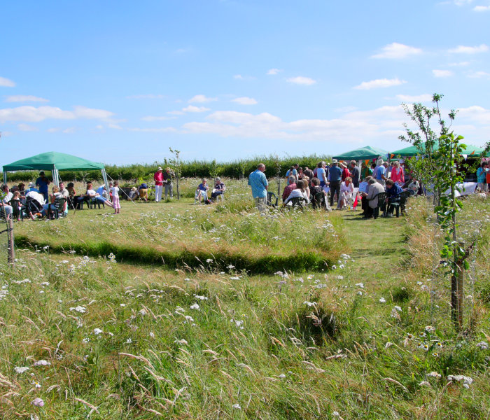 Header Orchard Image orchard team