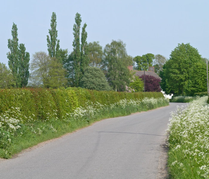 Header Orchard Image village west enterance