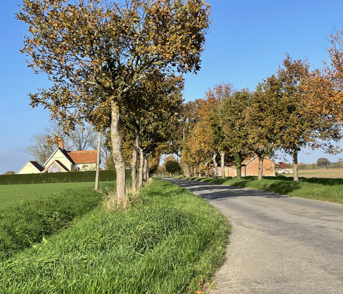 Header Parishmeeting Image tree road